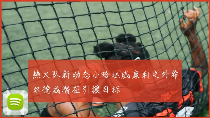 热火队新动态小哈达威康利之外希尔德成潜在引援目标